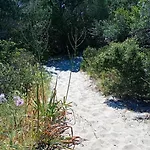 Flamingo's Monte Petrosu