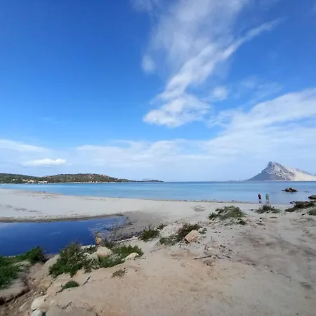 Apartamento Flamingo's *