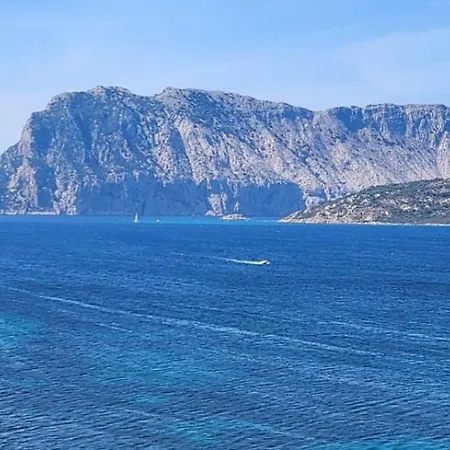 Flamingo's Monte Petrosu