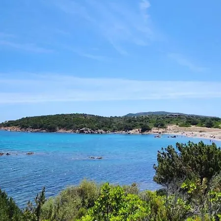 Daire Flamingo's Monte Petrosu