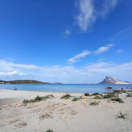 דירה Flamingo's מונטה פטרוסו