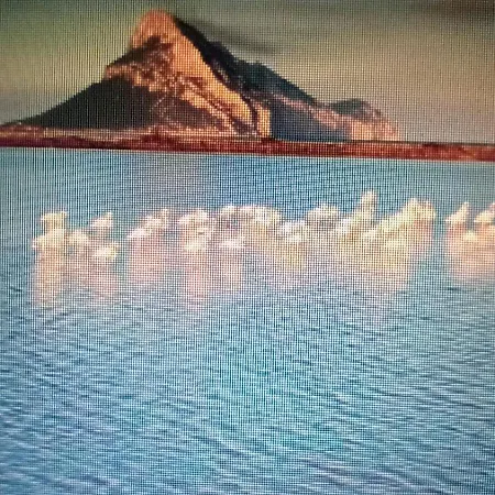 Flamingo's Appartamento Monte Petrosu