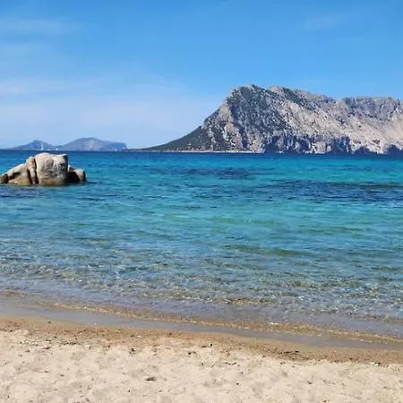 Flamingo's Monte Petrosu